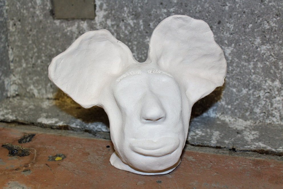 Anatómía manna og dýra