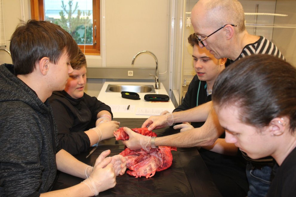 Krufning í fullum gangi í lífeðlisfræðitíma.