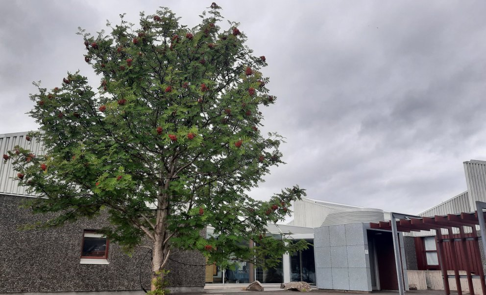 Nýtt skólaár hefst með formlegum hætti í VMA í dag þegar kennsla hefst samkvæmt stundaskrá.