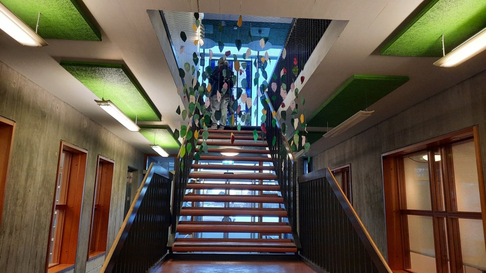 Innsetningar á listnáms- og hönnunarbraut