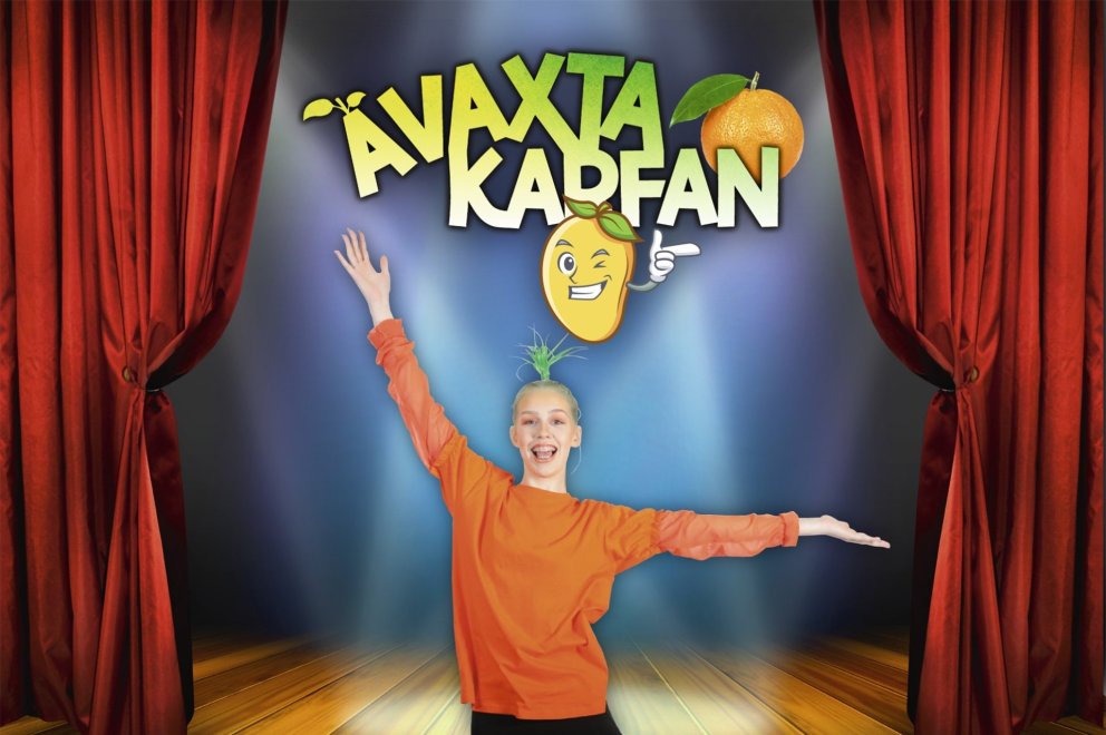 Ávaxtakarfan verður sett upp í Hofi í febrúar 2018