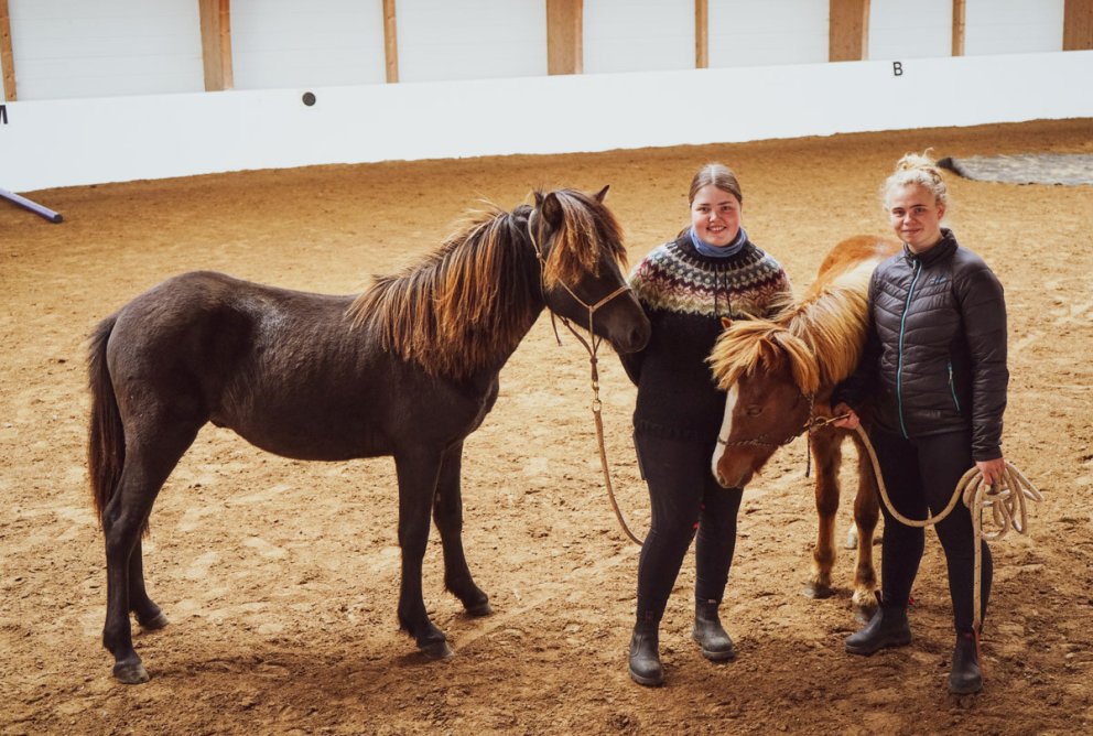 Búfræði er tveggja ára nám á Hvanneyri.