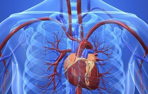 Rannsóknin verður kynnt nemendum VMA í vikunni.