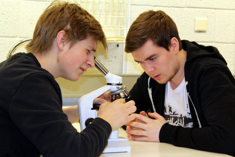 Kíkt í smásjána.