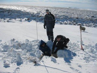 Fengu frí úr skólanum til að leita