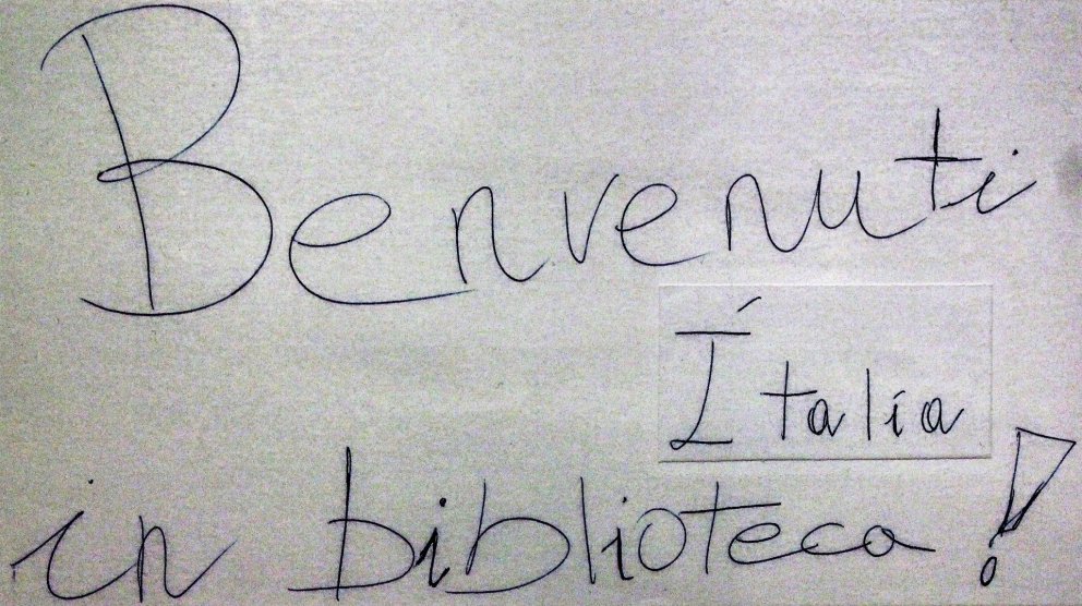 Fjölþjóðlegt samfélag í VMA