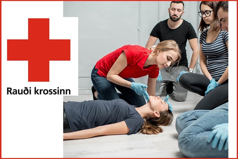 SKYN2EÁ01 - SKYNDIHJÁLP 