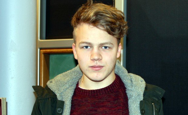 Myndlistarmaðurinn ungi, Úlfur Logason