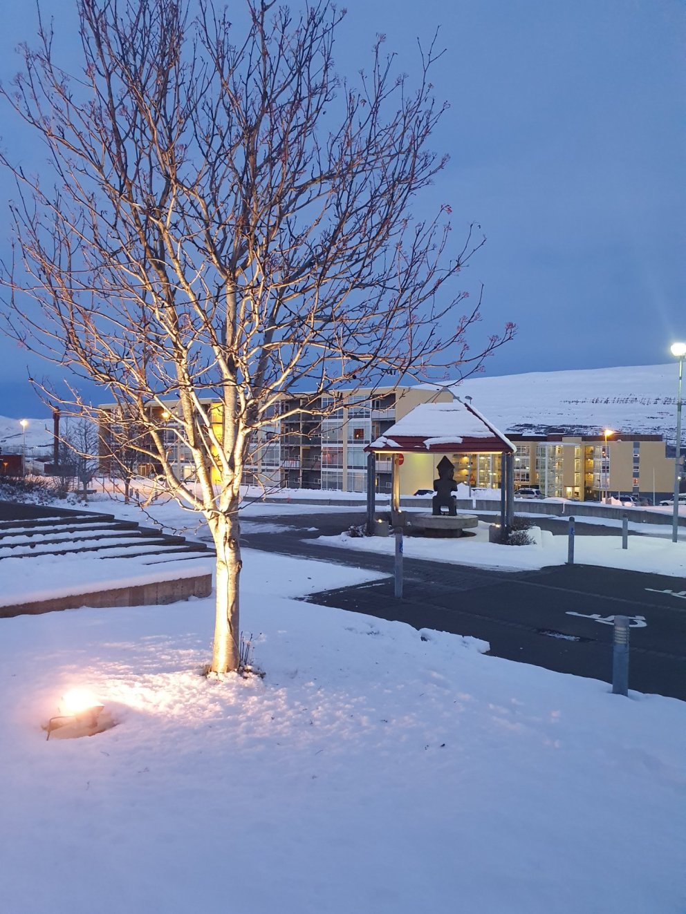 Skráning gesta á útskriftarathöfn 18. desember