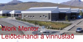 VMA mun stýra alþjóðlegu verkefni - Work Mentor