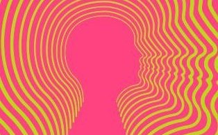 Háskólakynning er í M01 kl. 12:30-14:00 í dag.