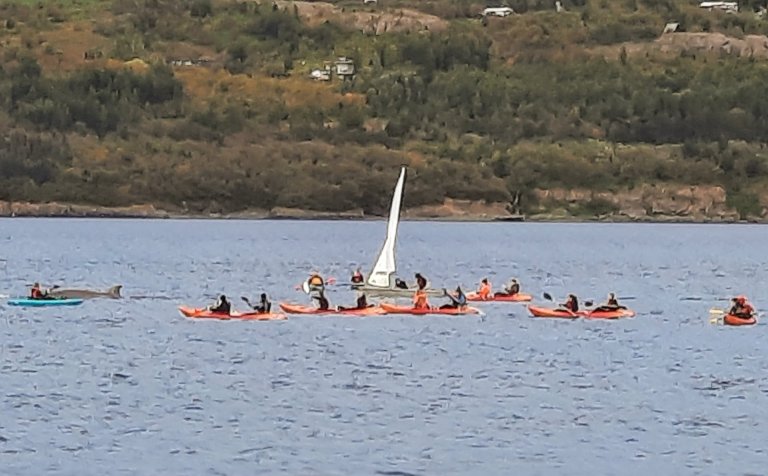 Ekki leiðinlegt að sigla með andanefjunum!