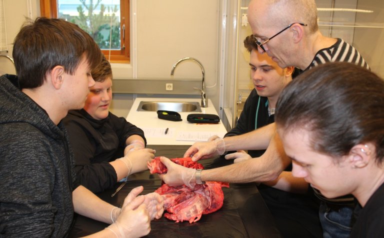 Krufning í fullum gangi í lífeðlisfræðitíma.