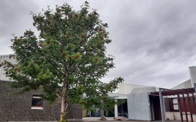 Nýtt skólaár hefst með formlegum hætti í VMA í dag þegar kennsla hefst samkvæmt stundaskrá.