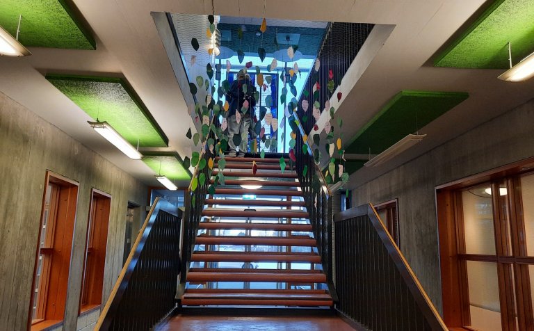 Innsetningar á listnáms- og hönnunarbraut