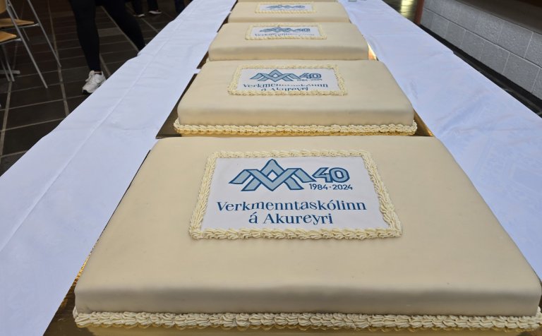 Hinar gómsætu og glæsilegu afmælistertur sem hinir fjölmörg gestir í 40 ára afmælishófi VMA gerðu gó…