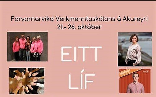 Áhugaverð dagskrá verður í VMA í þessari viku.