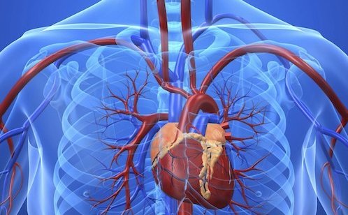 Rannsóknin verður kynnt nemendum VMA í vikunni.