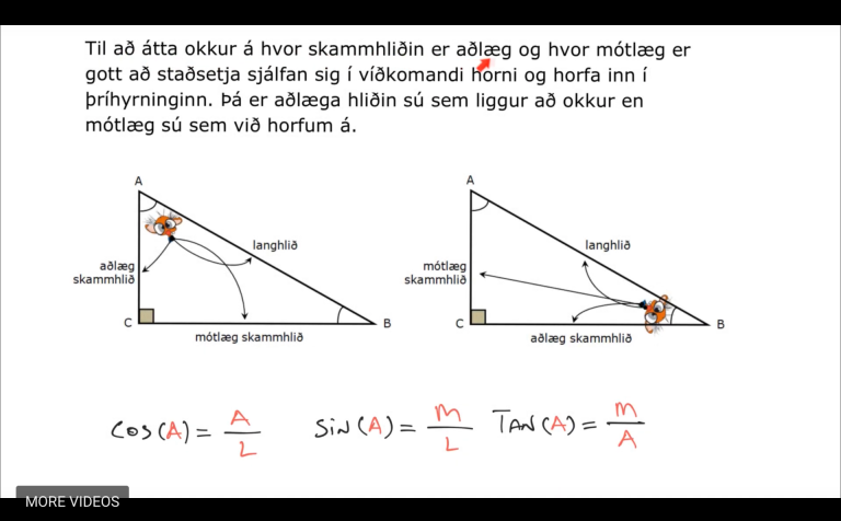Þetta er skjámynd af einu myndbandinu.