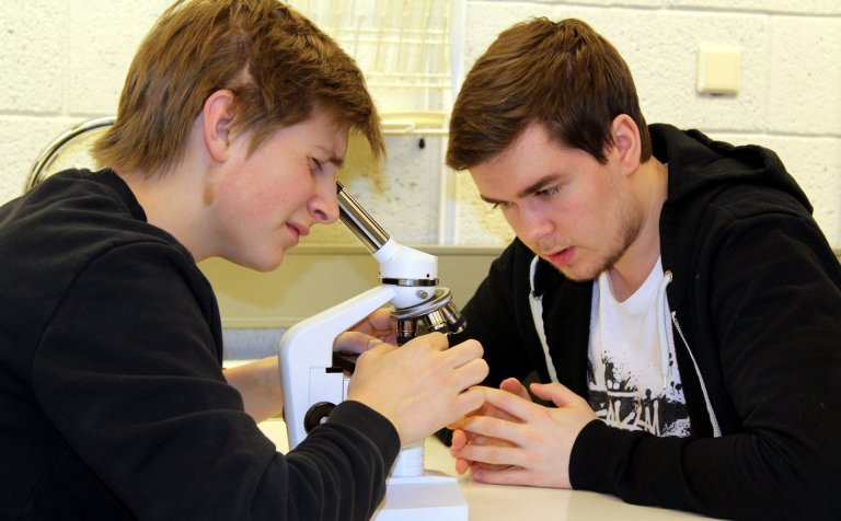 Kíkt í smásjána.