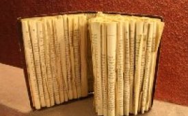 Matsönn VMA í apríl-júní 2011