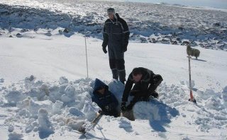 Fengu frí úr skólanum til að leita