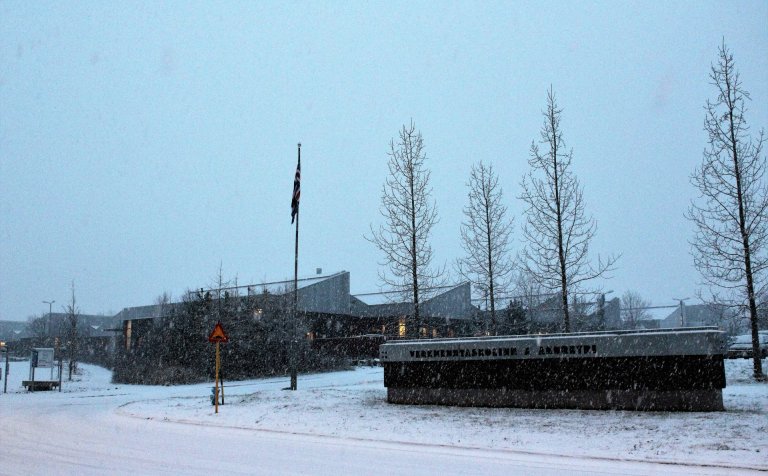 Það snjóaði duglega á Akureyri á degi ísl. tungu.
