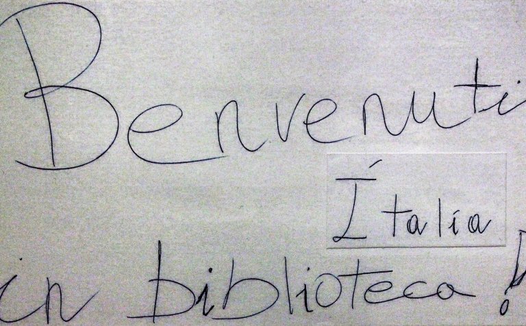 Fjölþjóðlegt samfélag í VMA