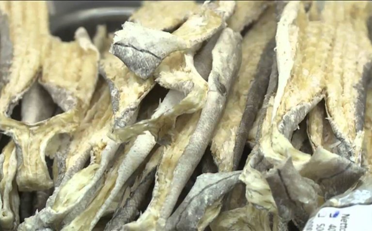 Þurrkun á harðfiski er stefið í einu verkefninu.