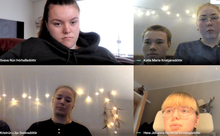 Hera, Svava, Katla og Kristrún á fjarfundi.