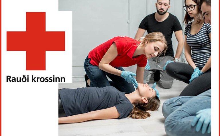 SKYN2EÁ01 - SKYNDIHJÁLP 