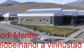 VMA mun stýra alþjóðlegu verkefni - Work Mentor