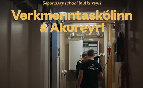 Myndbandið var unnið sl. vor en var birt fyrir nokkrum dögum. Þar kemur VMA við sögu.